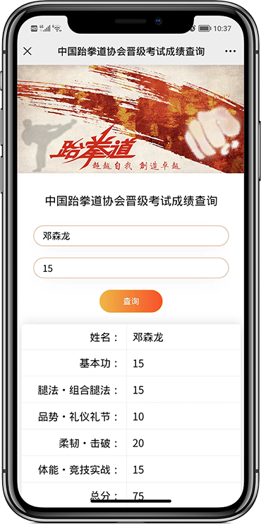 中国跆拳道协会紧急考试成绩查询